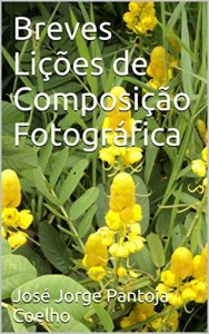 Baixar Breves Lições de Composição Fotográfica pdf, epub, eBook