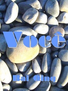 Baixar VOCÊ – A sua Personalidade segundo a Astrologia Chinesa e os Cinco Elementos pdf, epub, eBook