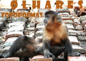 Baixar olhares fotopoemas pdf, epub, eBook