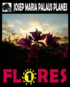 Baixar FLORES [1] [PT] pdf, epub, eBook