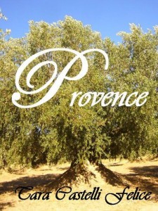 Baixar A Proven&ccedil;a pdf, epub, eBook
