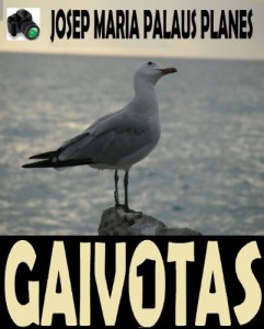 Baixar GAIVOTAS [1] [PT] pdf, epub, eBook