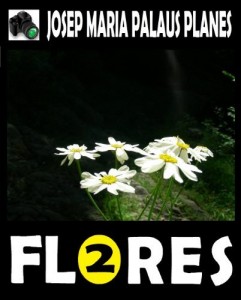 Baixar FLORES [2] [PT] pdf, epub, eBook