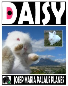 Baixar DAISY [PT] pdf, epub, eBook