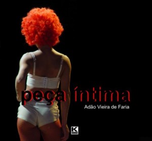 Baixar Pe&ccedil;a &Iacute;ntima pdf, epub, eBook