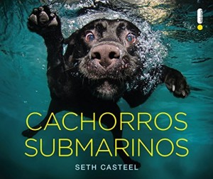 Baixar Cachorros submarinos pdf, epub, eBook