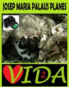 Baixar VIDA [2] [PT] pdf, epub, eBook