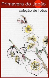 Baixar Primavera do Japão: coleção de fotos pdf, epub, eBook