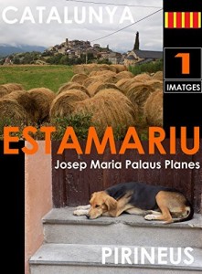 Baixar CATALUNHA: ESTAMARIU [1] pdf, epub, eBook