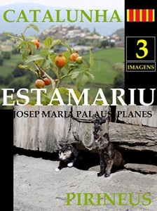 Baixar CATALUNHA: ESTAMARIU [3] pdf, epub, eBook
