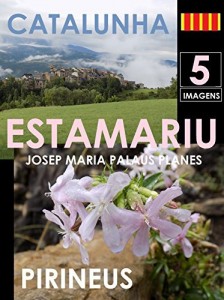Baixar CATALUNHA: ESTAMARIU [5] pdf, epub, eBook