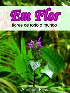Baixar Em flor, flores de todo o mundo pdf, epub, eBook
