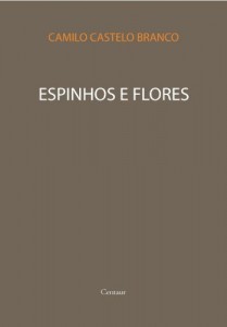 Baixar Espinhos e Flores [com &iacute;ndice ativo] pdf, epub, eBook