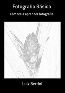 Baixar Fotografia B&aacute;sica pdf, epub, eBook