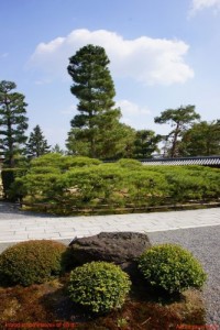 Baixar Introduction “Hawaii of 48 th”português pdf, epub, eBook