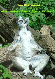 Baixar Meus melhores Fotos e Tópicos – Parte 1 pdf, epub, eBook