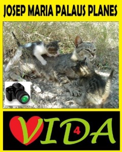 Baixar VIDA [4] [PT] pdf, epub, eBook