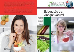 Baixar Inédito curso elaboração de vinagre natural pdf, epub, eBook