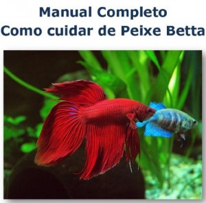 Baixar Peixe Betta Saudável – Manual Completo pdf, epub, eBook