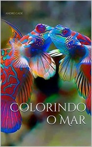 Baixar Colorindo o Mar pdf, epub, eBook