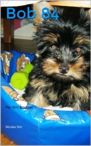 Baixar Bob 84: Por Nini Bousset (Historias de Nini Bousset) pdf, epub, eBook