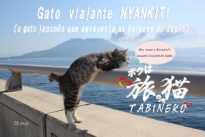 Baixar Gato viajante NYANKITI pdf, epub, eBook