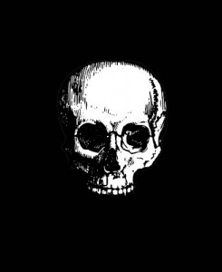 Baixar maze morte; você pode sobreviver? pdf, epub, eBook