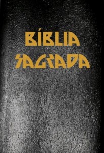 Baixar A Bíblia Sagrada Completa com Índice Ativo e Touch, na nova Ortografia da Língua Portuguesa na Tradução de João Ferreira de Almeida pdf, epub, eBook