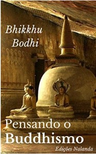 Baixar Pensando o Buddhismo: Uma reflex&atilde;o sobre as nobres verdades pdf, epub, eBook
