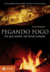 Baixar Pegando fogo: por que cozinhar nos tornou humanos pdf, epub, eBook