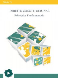 Baixar Direito Constitucional – Princípios Fundamentais em Questões (Série D Livro 1) pdf, epub, eBook
