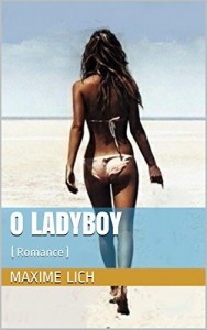 Baixar O Ladyboy: (Romance) pdf, epub, eBook