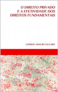 Baixar  O DIREITO PRIVADO E A EFETIVIDADE DOS DIREITOS FUNDAMENTAIS : Gerson Amauri Calgaro pdf, epub, eBook