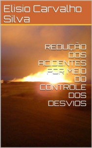 Baixar REDUÇÃO DOS ACIDENTES POR MEIO DO CONTROLE DOS DESVIOS pdf, epub, eBook