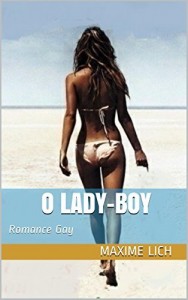 Baixar O Lady-Boy: Romance Gay pdf, epub, eBook