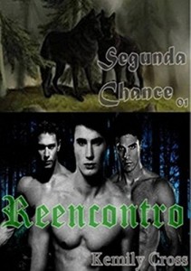 Baixar Segunda Chance 01 – Reencontro pdf, epub, eBook