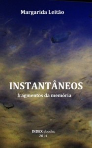 Baixar Instantâneos: fragmentos da memória pdf, epub, eBook