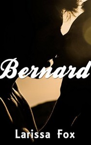 Baixar Conto: Bernard (Contos Er&oacute;ticos Puro Prazer Livro 4) pdf, epub, eBook