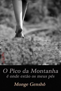 Baixar O Pico da Montanha é onde estão os meus pés pdf, epub, eBook