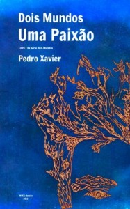 Baixar Dois Mundos, Uma Paixão pdf, epub, eBook