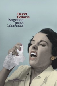 Baixar Engolido pelas labaredas pdf, epub, eBook