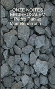 Baixar Onze Noites em Jerusal&eacute;m pdf, epub, eBook