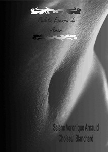 Baixar Paleta Escura do Amor pdf, epub, eBook