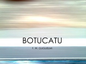 Baixar Botucatu pdf, epub, eBook
