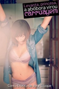 Baixar Levanta, Princesa, a abóbora virou carruagem: eConto pdf, epub, eBook