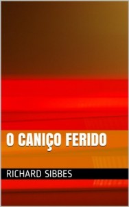 Baixar O Caniço Ferido pdf, epub, eBook