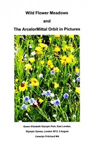 Baixar Wild Flower Meadows and the ArcelorMittal Orbit in Pictures (Photo Albums Livro 18) pdf, epub, eBook