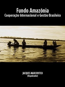 Baixar Fundo Amazônia: cooperação internacional e gestão brasileira pdf, epub, eBook