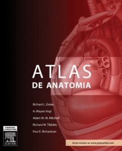 Baixar Gray Atlas de Anatomia: A base anat&ocirc;mica da pr&aacute;tica cl&iacute;nica (Portuguese Edition): A base anatamica da pratica… pdf, epub, eBook