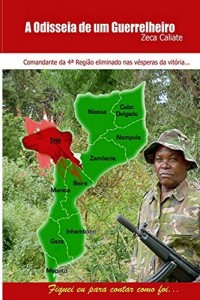 Baixar Odisseia de um Guerrilheiro pdf, epub, eBook